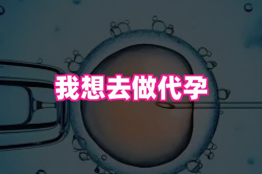 杭州助孕网 1