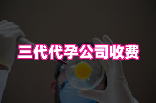 杭州助孕网 2