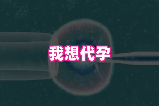 杭州助孕网 4